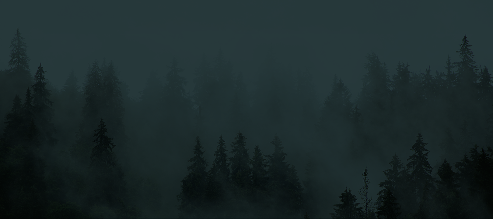 Background image of a dark, foggy forest